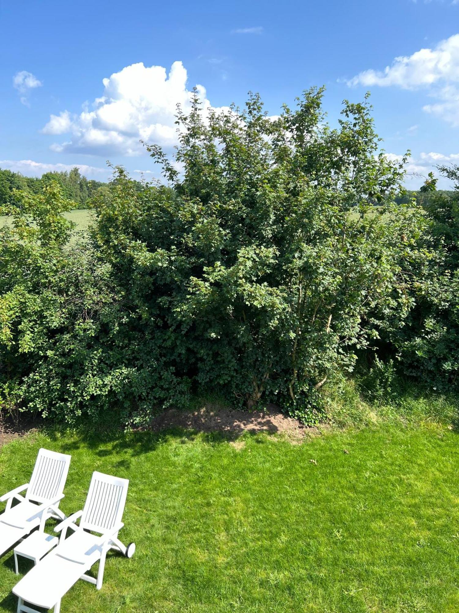Haus Schoensee Heede Экстерьер фото